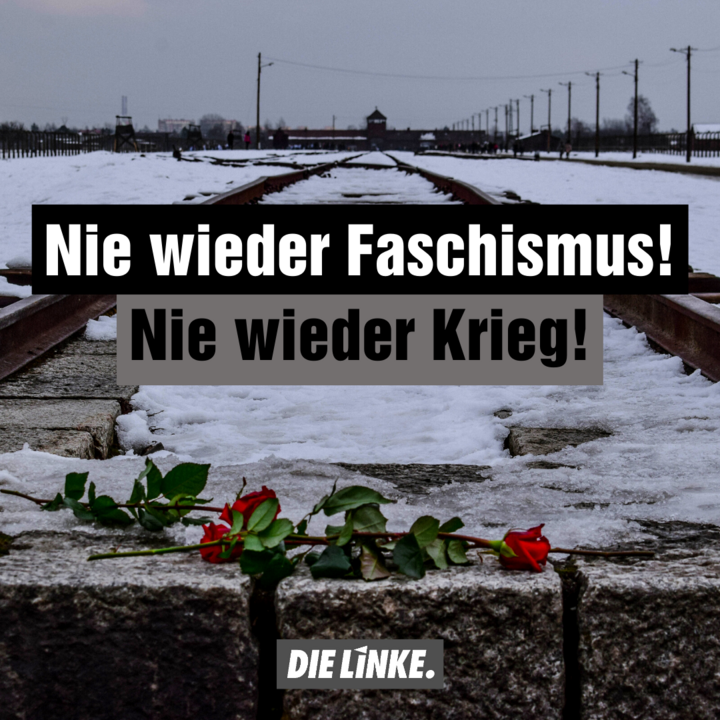 Internationaler Tag des Gedenkens an die Opfer des Holocaust