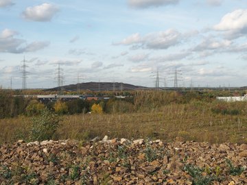 Herne_LSG_Thyssenhalde.jpg by Arnoldius is licensed under CC BY-SA 4.0