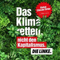 Globaler Klimastreik am 3. März 2023
